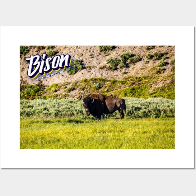 Bison at Yellowstone Wall Art by Gestalt Imagery